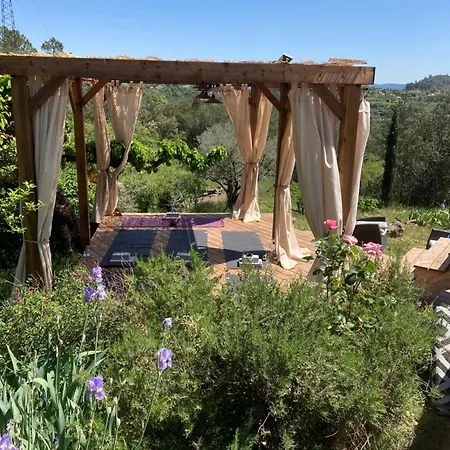 Idyllic French * Les Assions