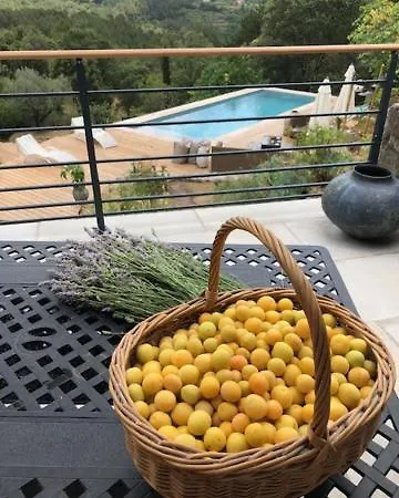 Idyllic French * Les Assions