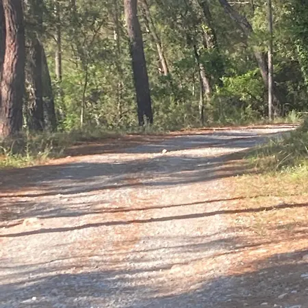 Idyllic French * Les Assions